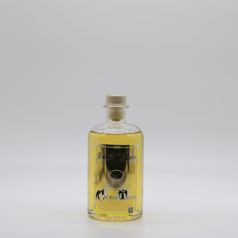 Honingwijn Mede Cactus Mead 0,50L