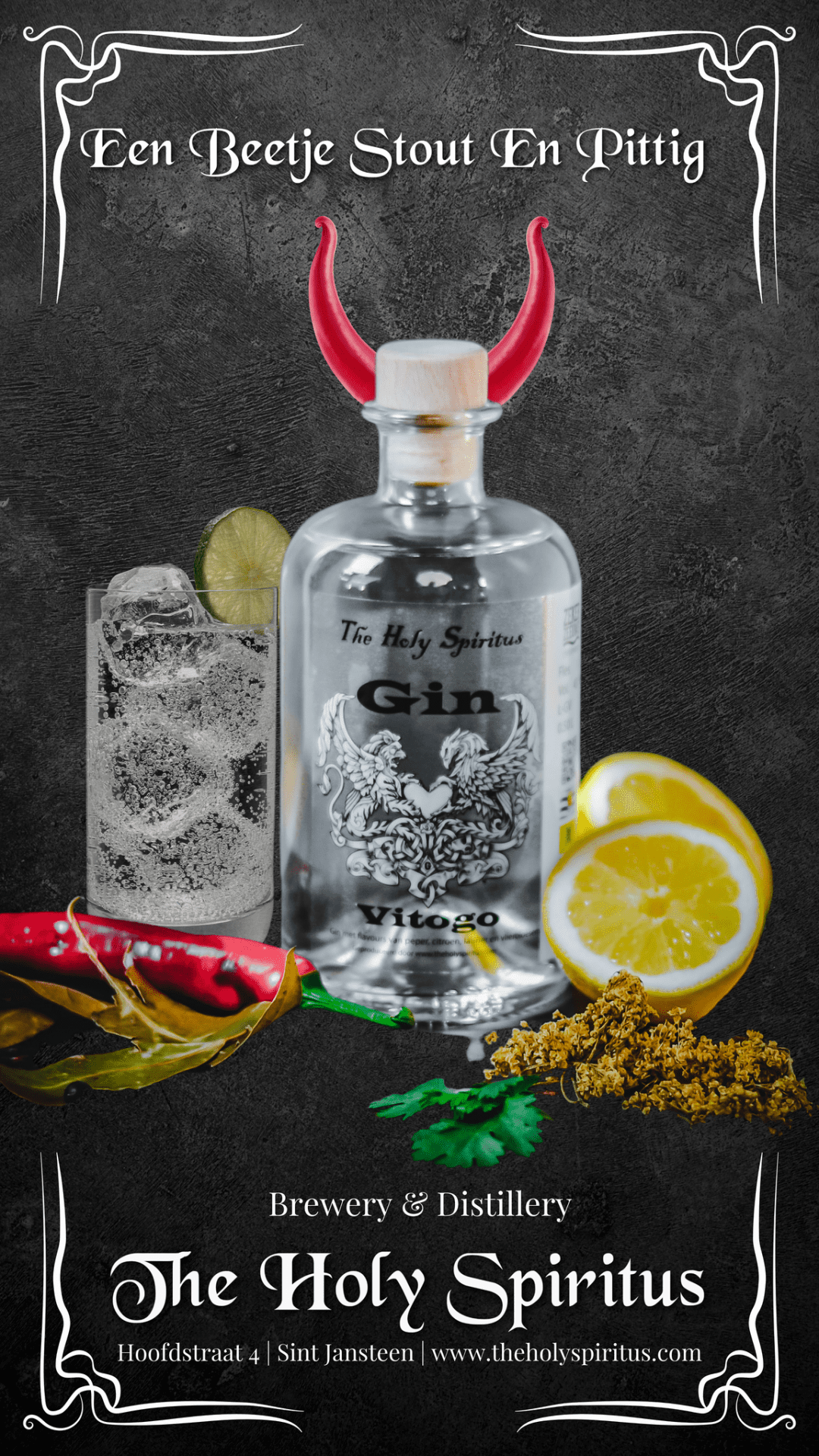 Gin Vitogo 0,50L