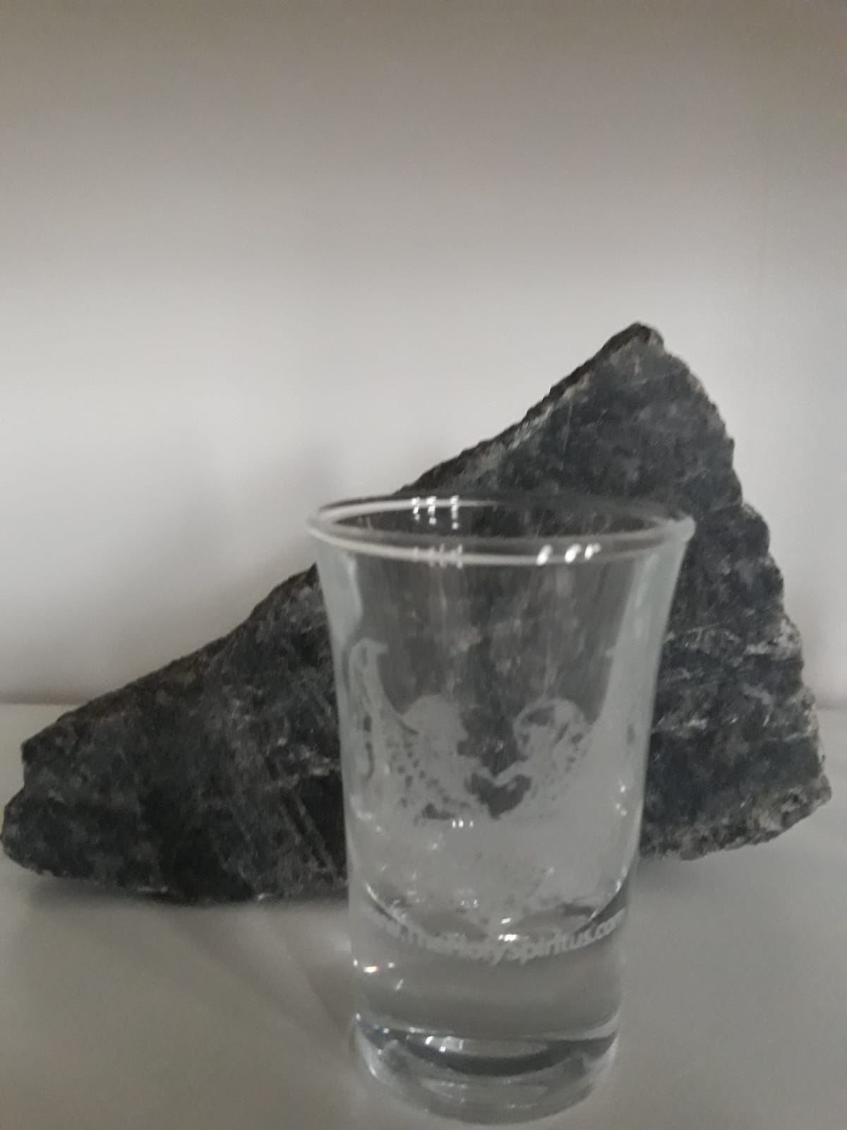 Shotglas 6 X 3.4 cl gegraveerd logo